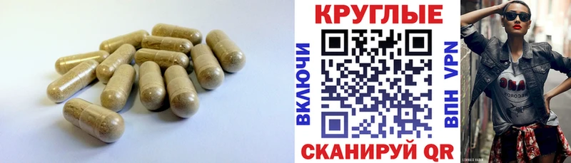 ЭКСТАЗИ mix  закладка  Дубовка 