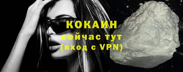 mix Богородицк