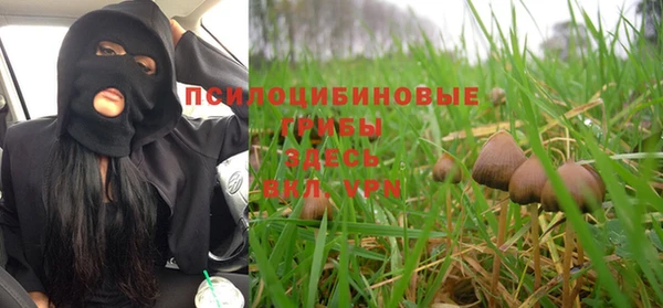mix Богородицк
