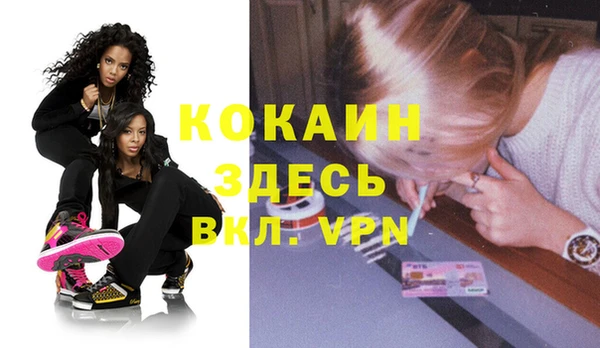 mix Богородицк