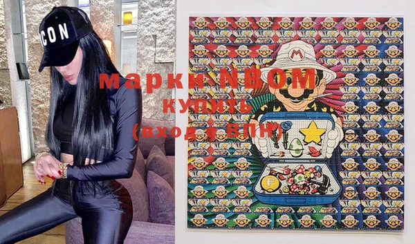 mix Богородицк