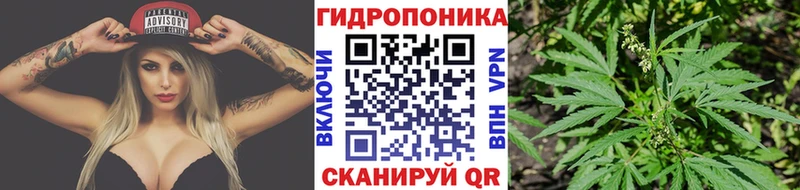 купить сайты mega ссылки Конопля планчик Дубовка